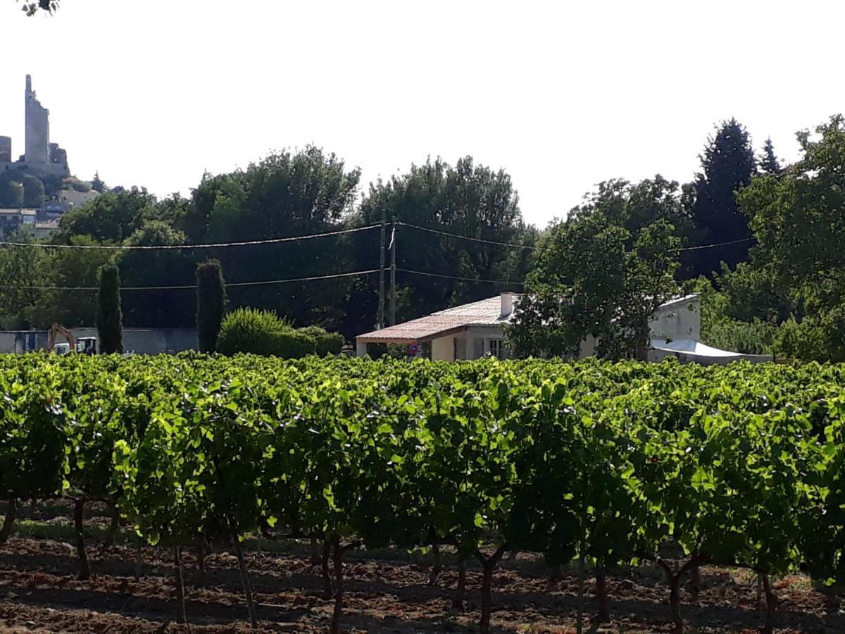 Chamaret La Petite Maison Dans Les Vignes מראה חיצוני תמונה